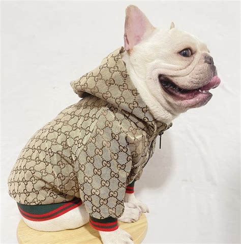 gucci for dog|Gucci clothes for dogs.